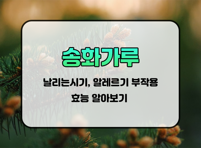  송화가루 날리는 시기, 알레르기 증상, 대처법