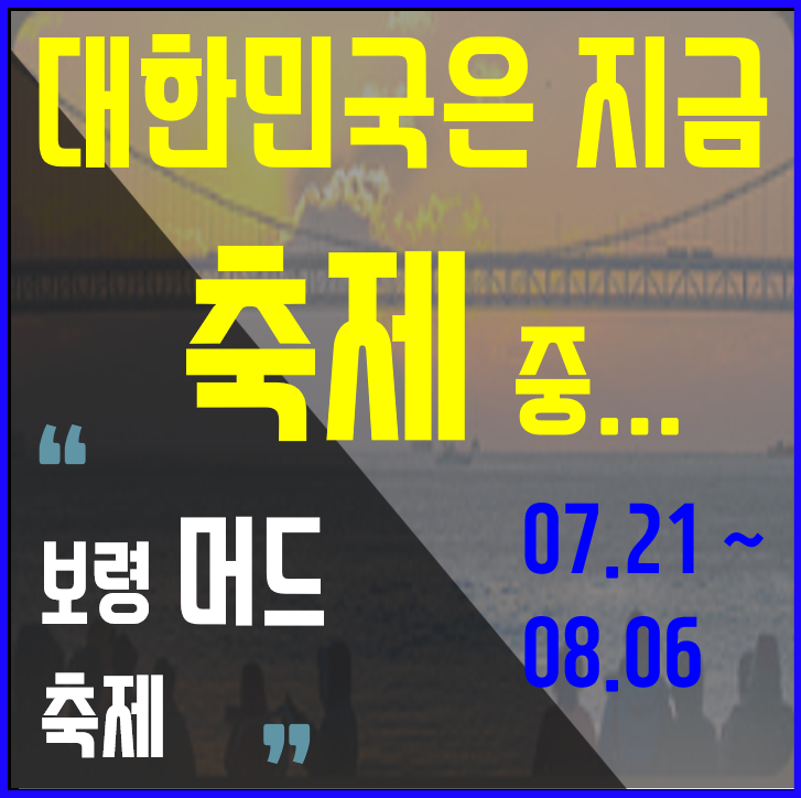 보령머드축제