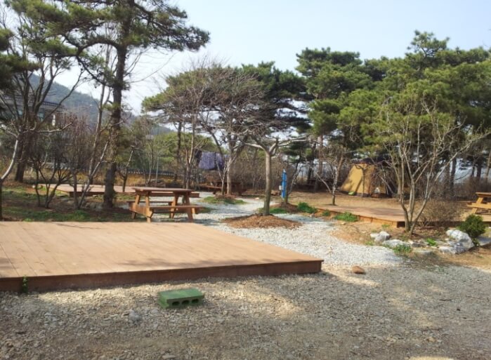 캠핑 사이트