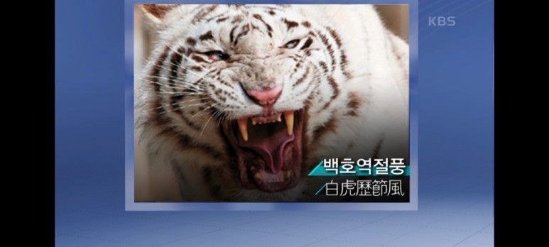 [생로병사의비밀-통풍] 통풍 2