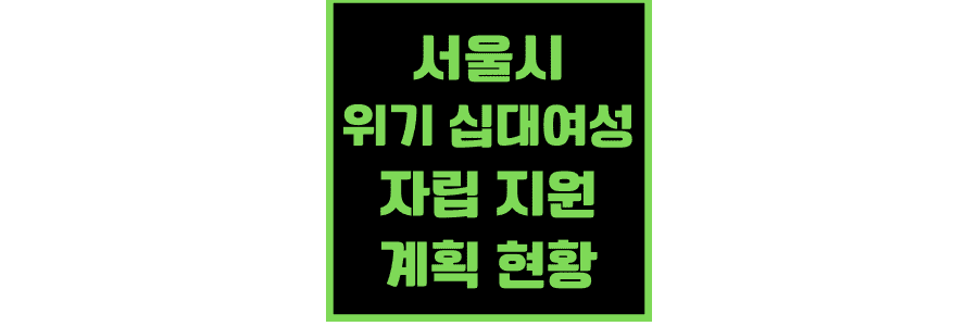 서울시-위기-십대여성-자립-지원-계획-현황