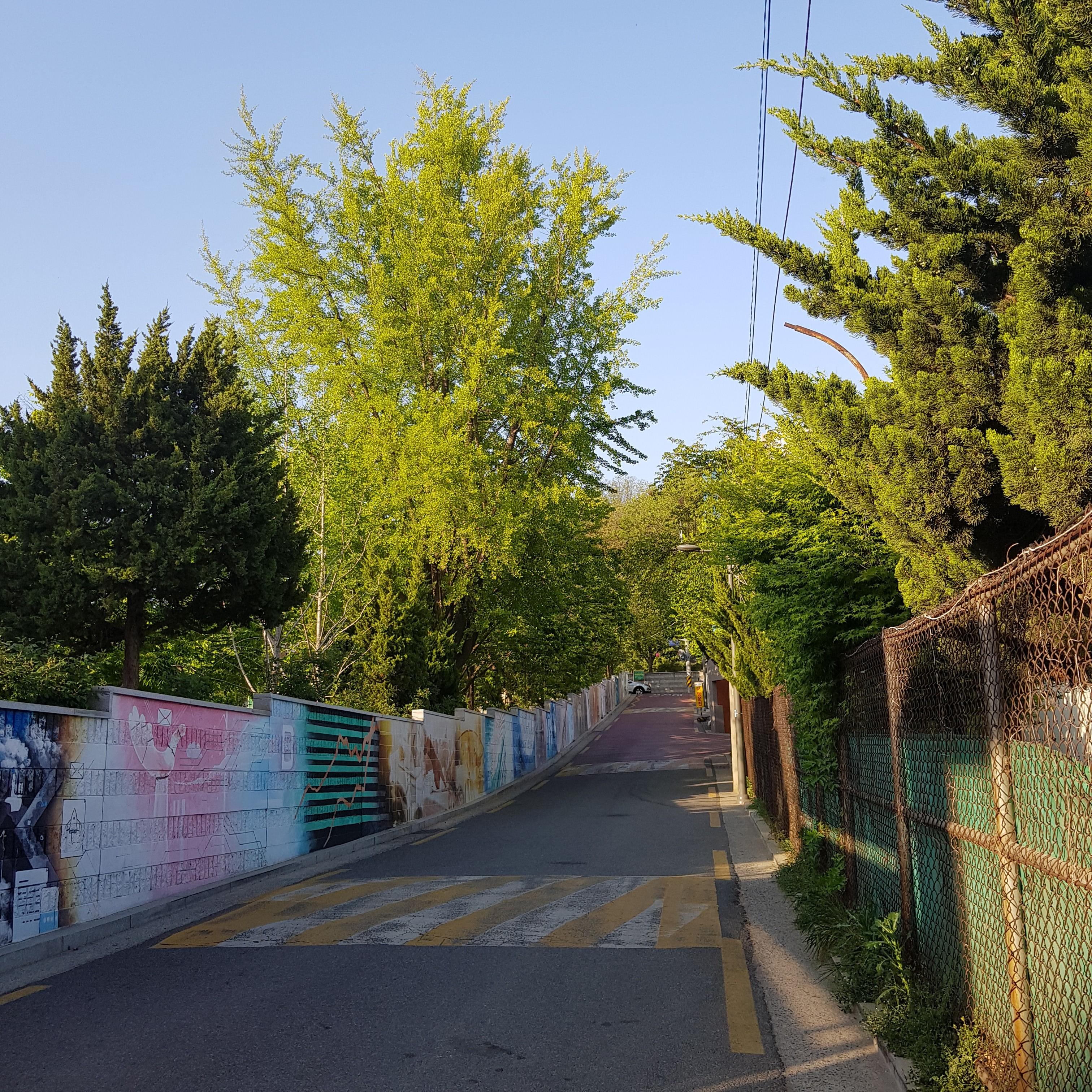  중성지방 낮추는법 만보걷기 효과 있다는데