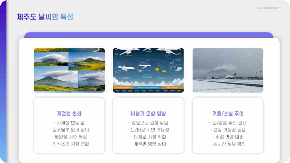 제주공항 날씨 비행기 결항 확인하기