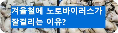 생굴