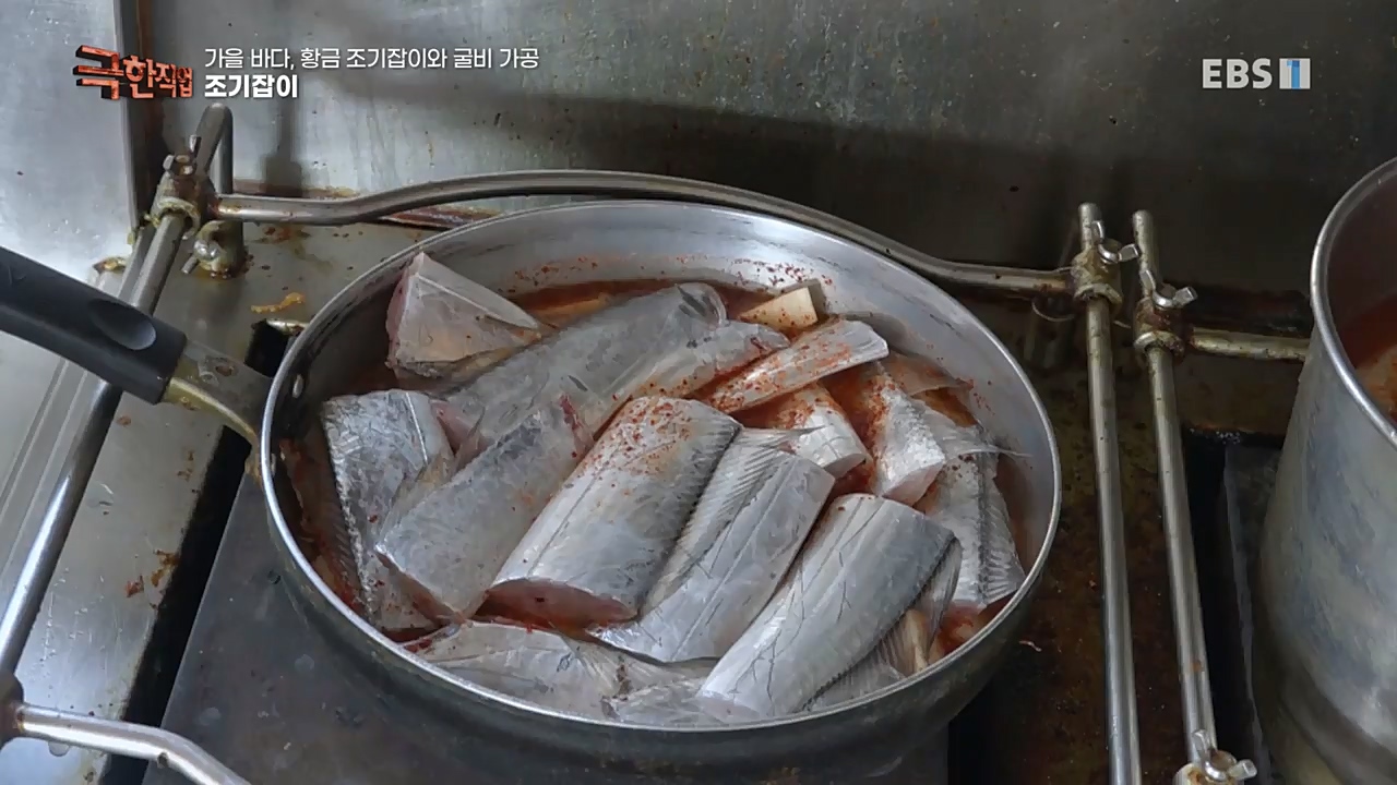 TV - 교육의 중심 EBS가을 바다 황금 조기잡이와 굴비 가공.mp4_20221122_195437.350.jpg