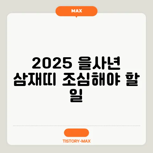 2025 을사년 삼재띠 조심해야 할 일