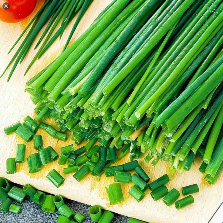  차이브 (CHIVE) 효능 부작용 섭취법은?