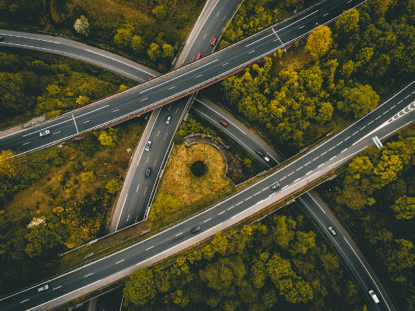 항공 각도 (Bird&amp;#39;s eye view)