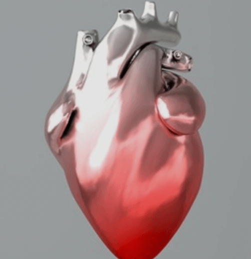 3D 그래픽 심장