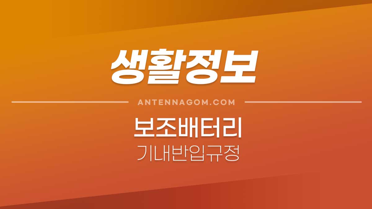 보조 배터리 휴대 규정