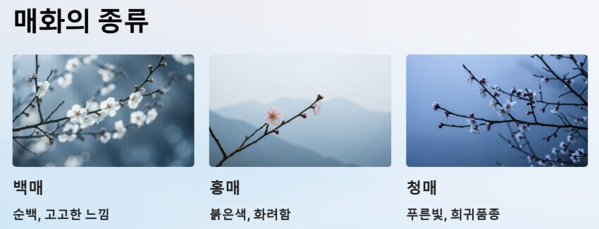 매화의 종류 이미지