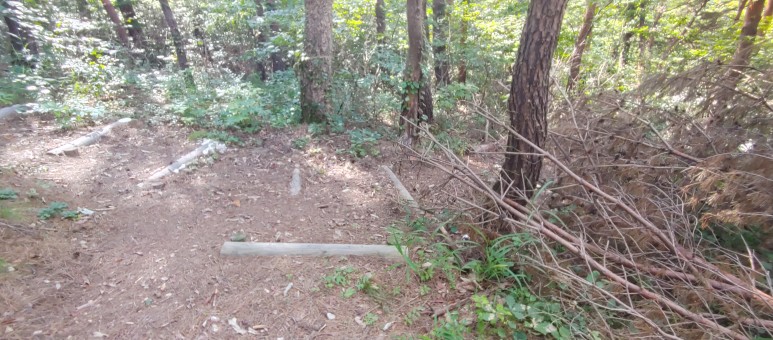 제진검문소 - 통일전망대 출입신고소 해파랑길 50코스 : 19