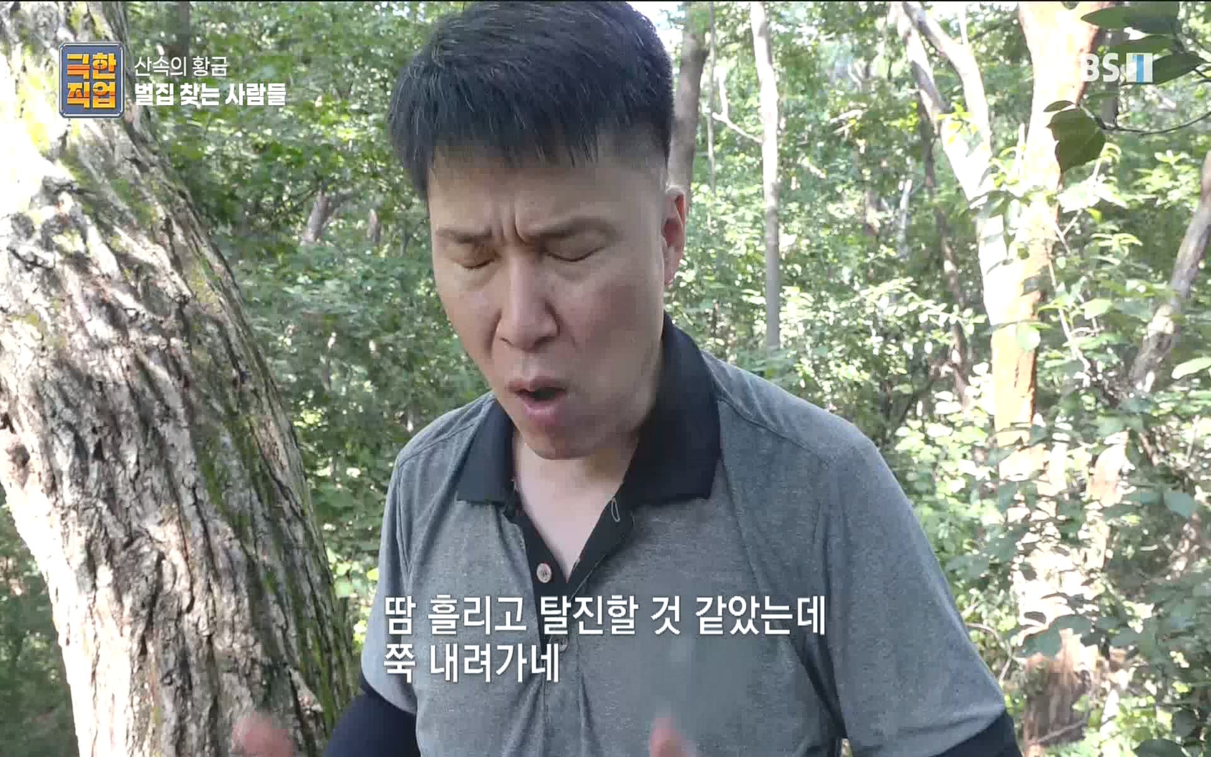 벌집 찾는 사람들.mp4_20221006_212352.075.jpg