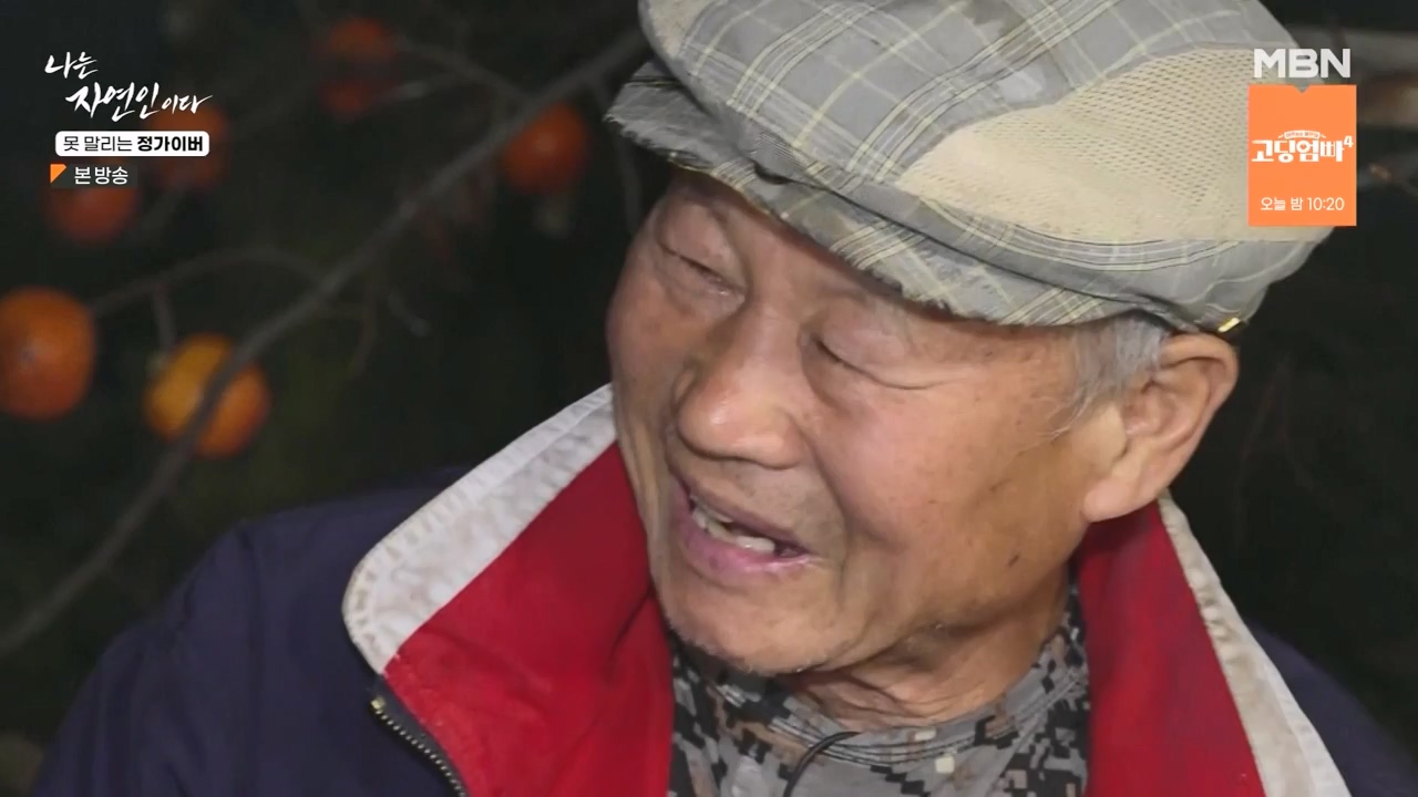 나는 자연인이다.E580.231116p-NEXT.mp4_20231116_202510.440.jpg