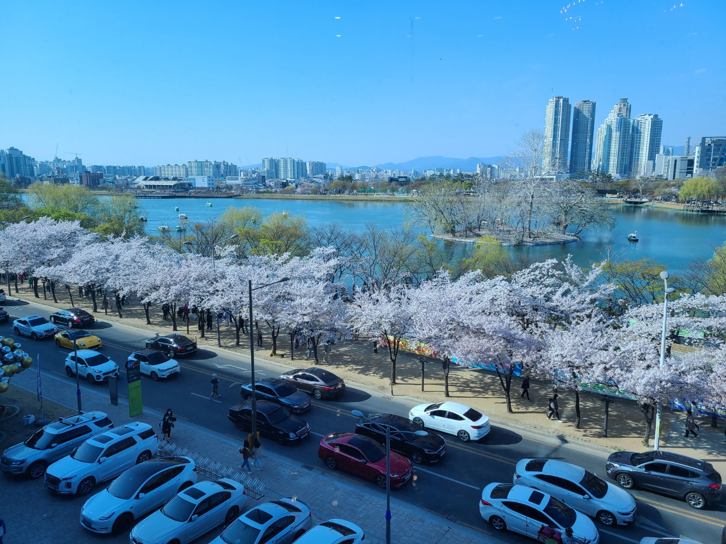대구 경북 벚꽃 명소 총정리 / 2023 개화시기 / 벚꽃축제 일정 정리(이월드, 진해군항제, 경주벚꽃축제) 대구 경북 벚꽃 명소 총정리 / 2023 개화시기 / 벚꽃축제 일정 정리(이월드, 진해군항제, 경주벚꽃축제)