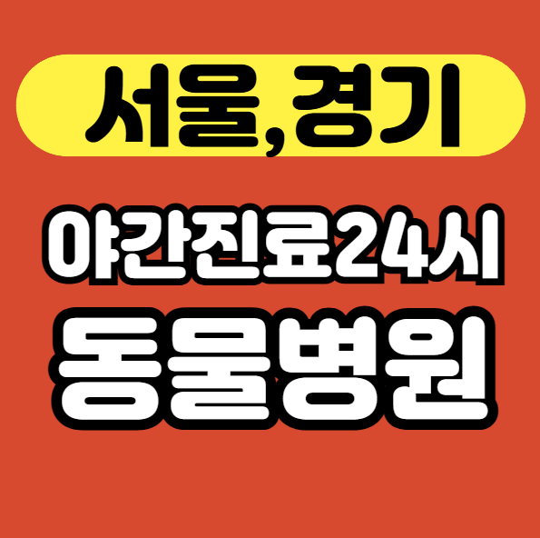 야간진료 동물병원 썸네일