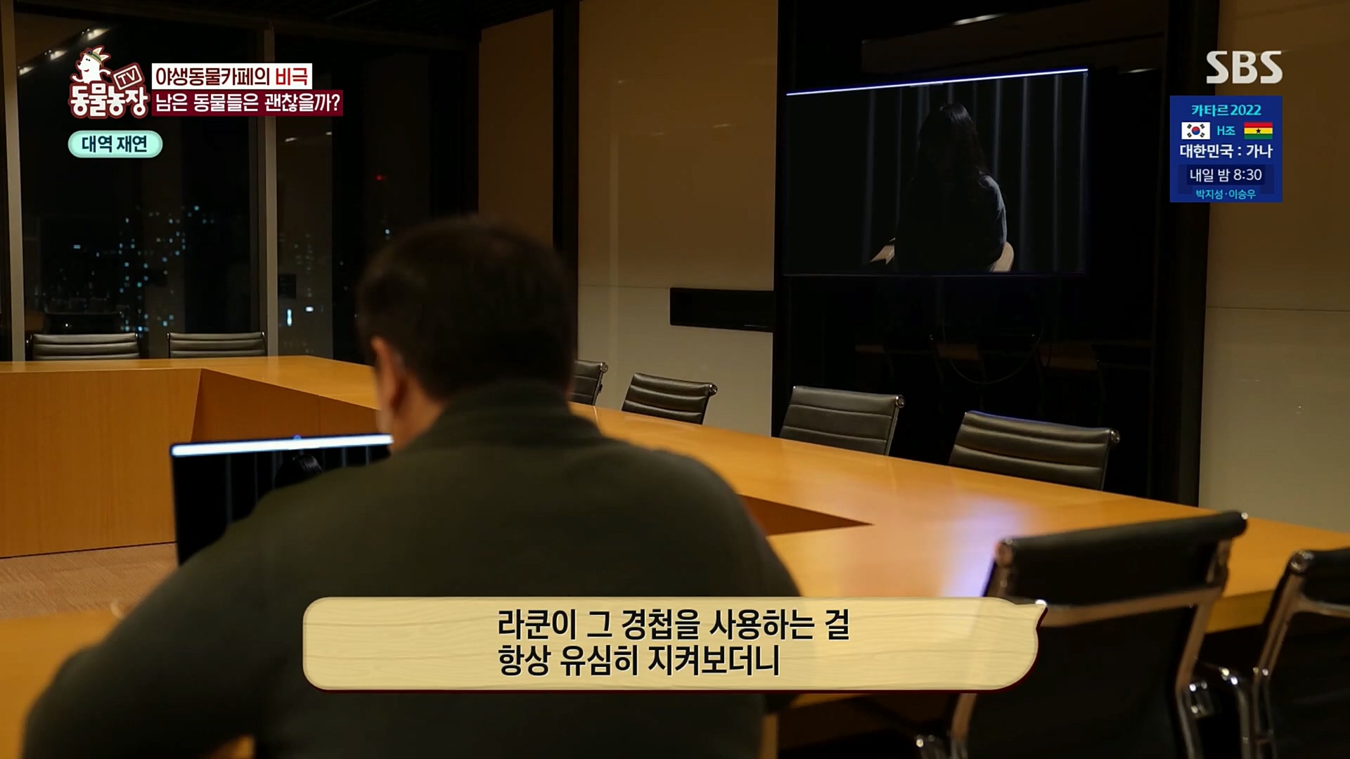 TV 동물농장.E1097.221127p.H264-F1RST.mp4_20221127_181717.163.jpg