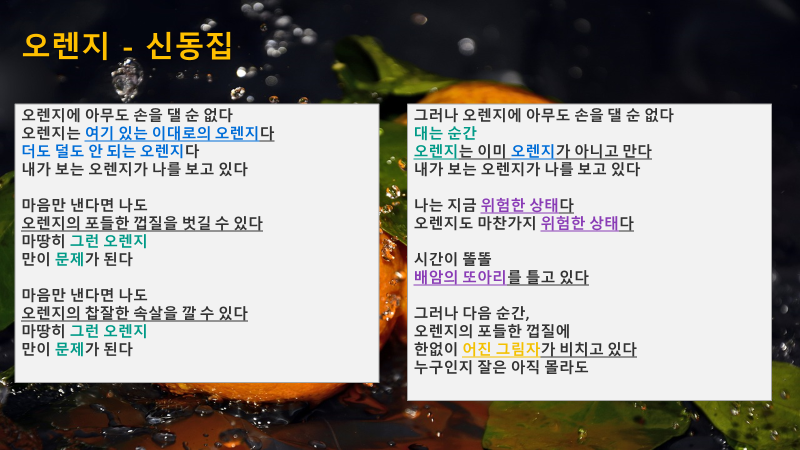 오렌지 신동집