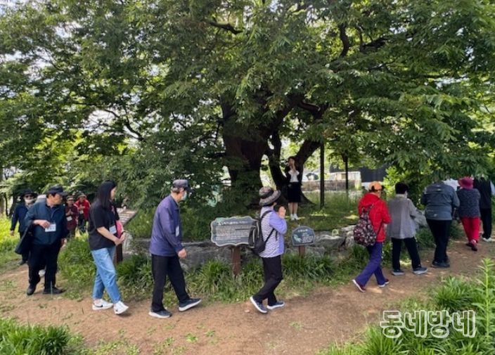 힐링숲협동조합 이미지