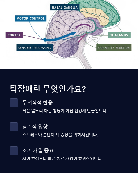 틱장애란 무엇인가요