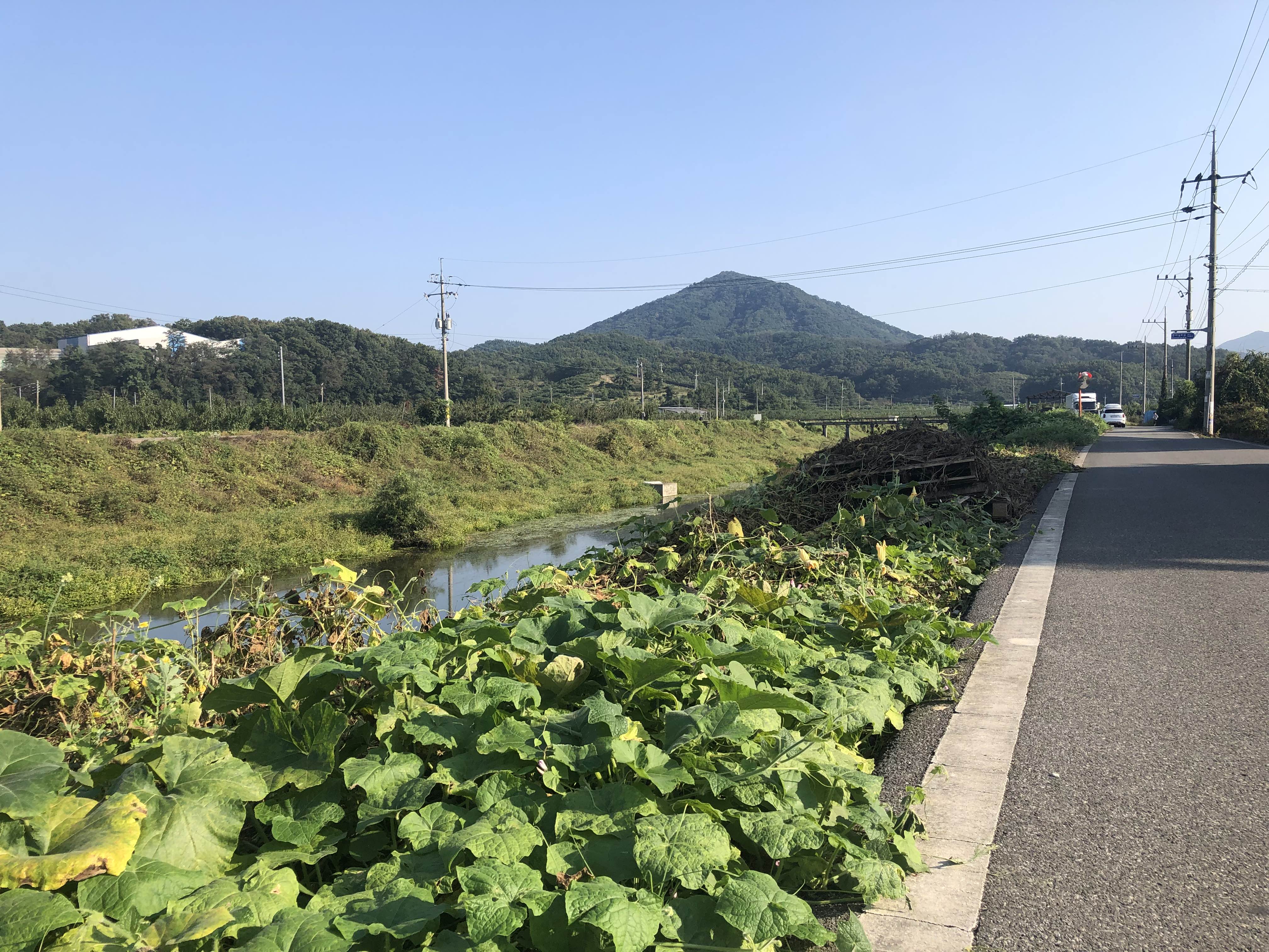  굴러온 돌이 박힌 돌은 뺀다