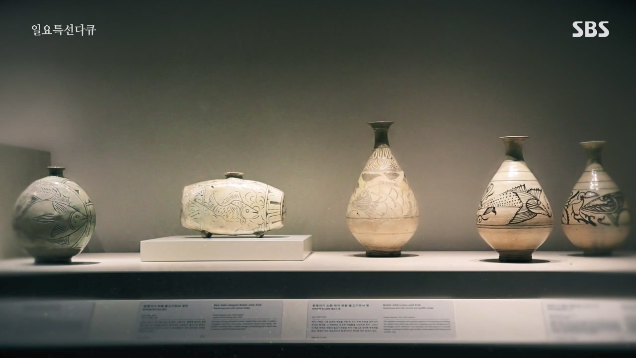 일요특선 다큐멘터리.E338.240129p-NEXT.mp4_20240129_202943.661.jpg