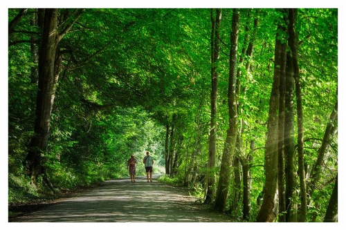 초록 나무가 우거진 숲길을 걷고 있는 두 사람
