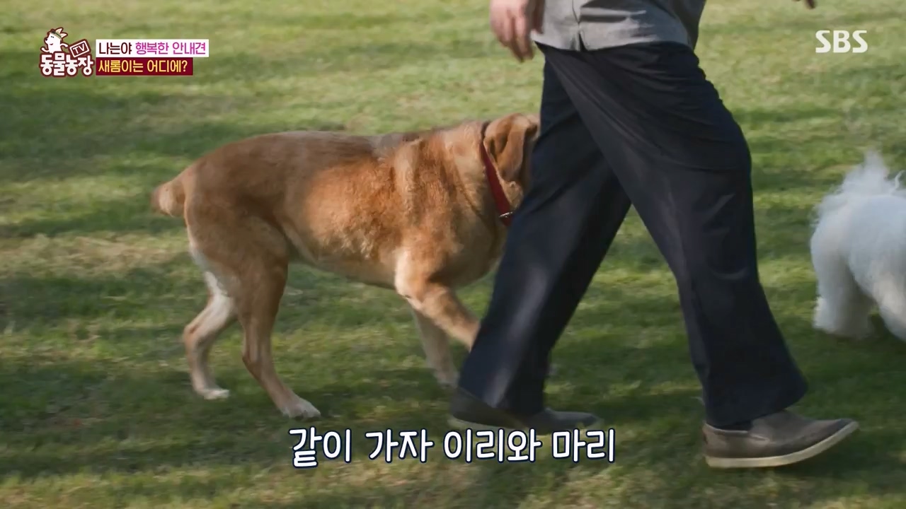 TV 동물농장.E1122.230529p-NEXT.mp4_20230528_170258.919.jpg