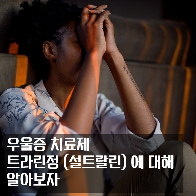 우울증 치료제, 트라린정 (설트랄린 / 설트라린) 에 관한 정보들