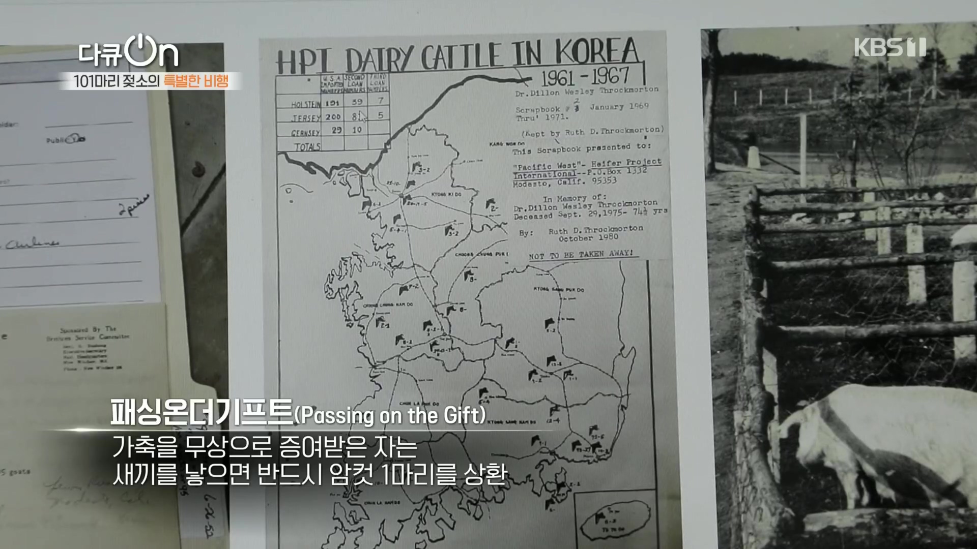 다큐 On.E184.230203p.H264-F1RST.mp4_20230211_174008.228.jpg