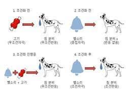 파블로프-개-자극-실험