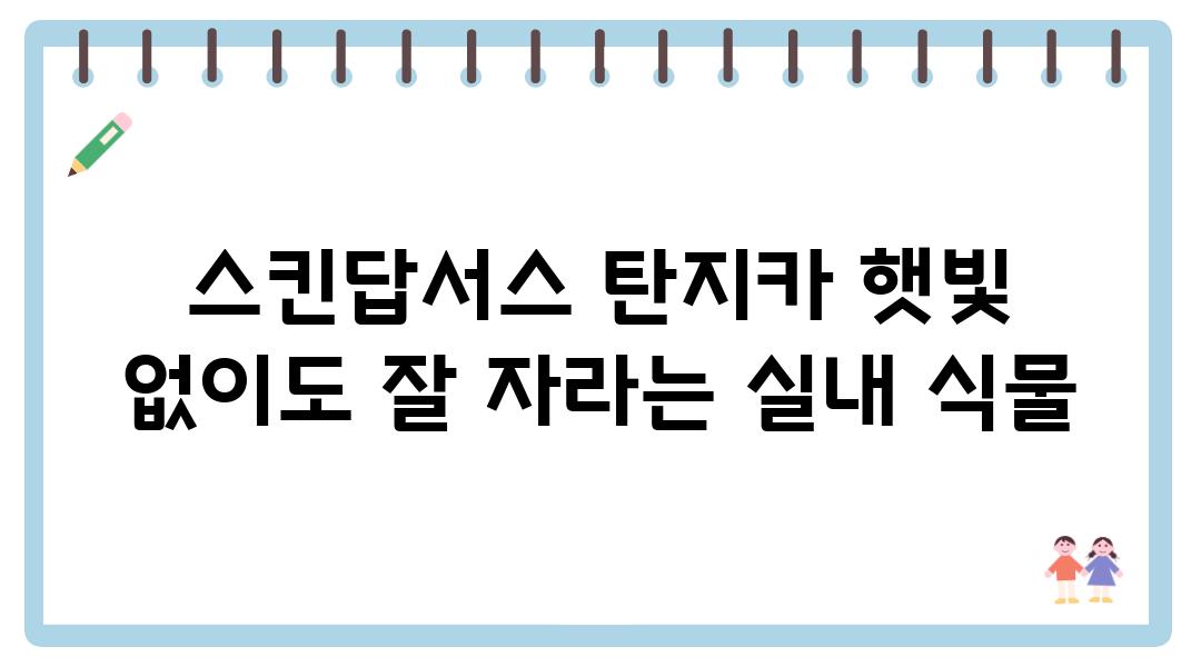 스킨답서스 탄지카 햇빛 없이도 잘 자라는 실내 식물