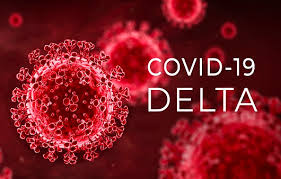 코로나 델타 바이러스