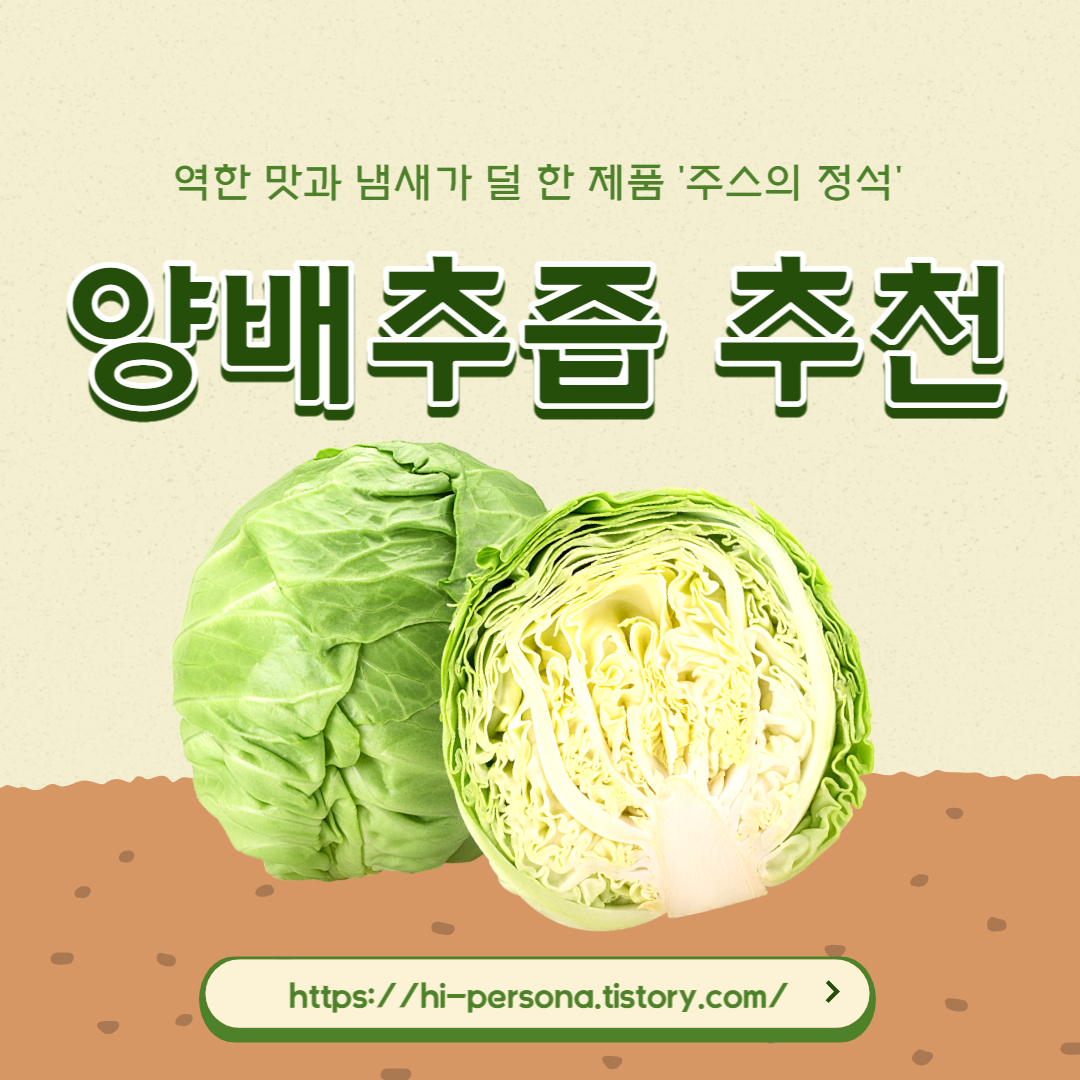  양배추즙 추천