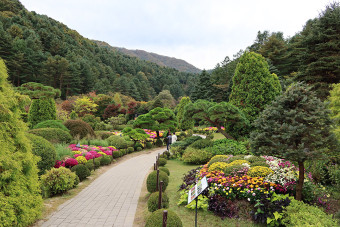 가평 아침고요수목원 풍경