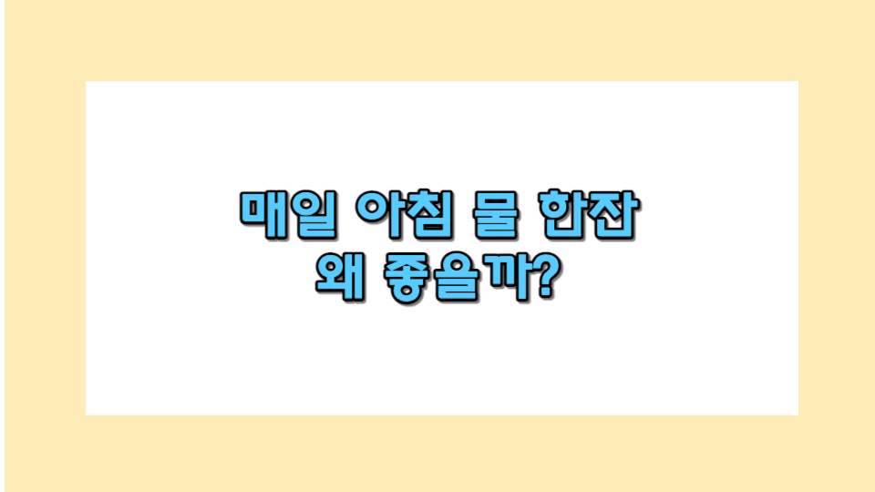 매일 아침 물 한잔 효과 썸네일 사진