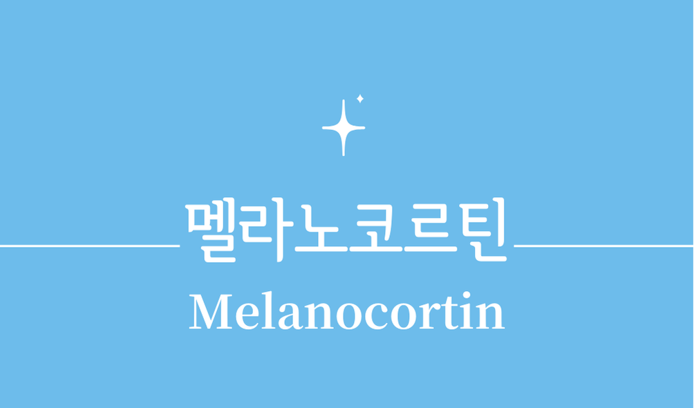 '멜라노코르틴(Melanocortin)'