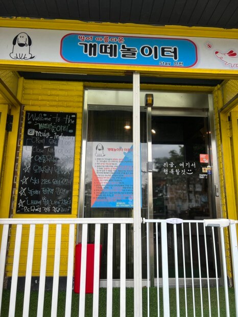  인천애견동반식당 강아지운동장 보유한 개떼놀이터 인천점 방문 후기