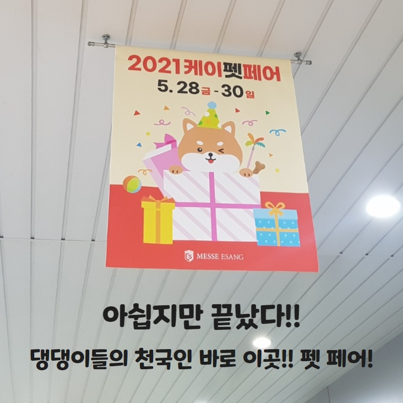 국내 최대규모! 아쉽지만 끝났다! 2021 케이 펫 페어!! 댕댕이는 사랑