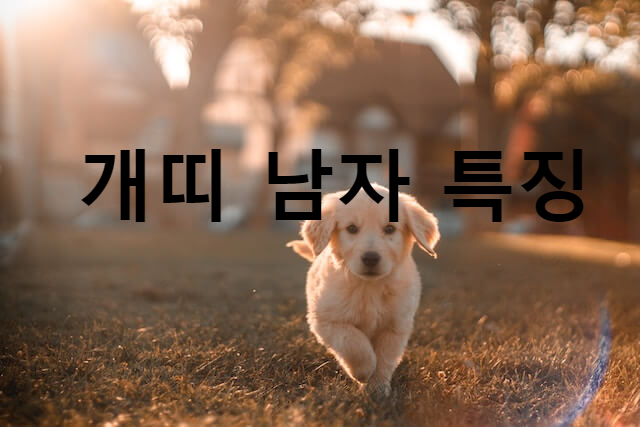 개