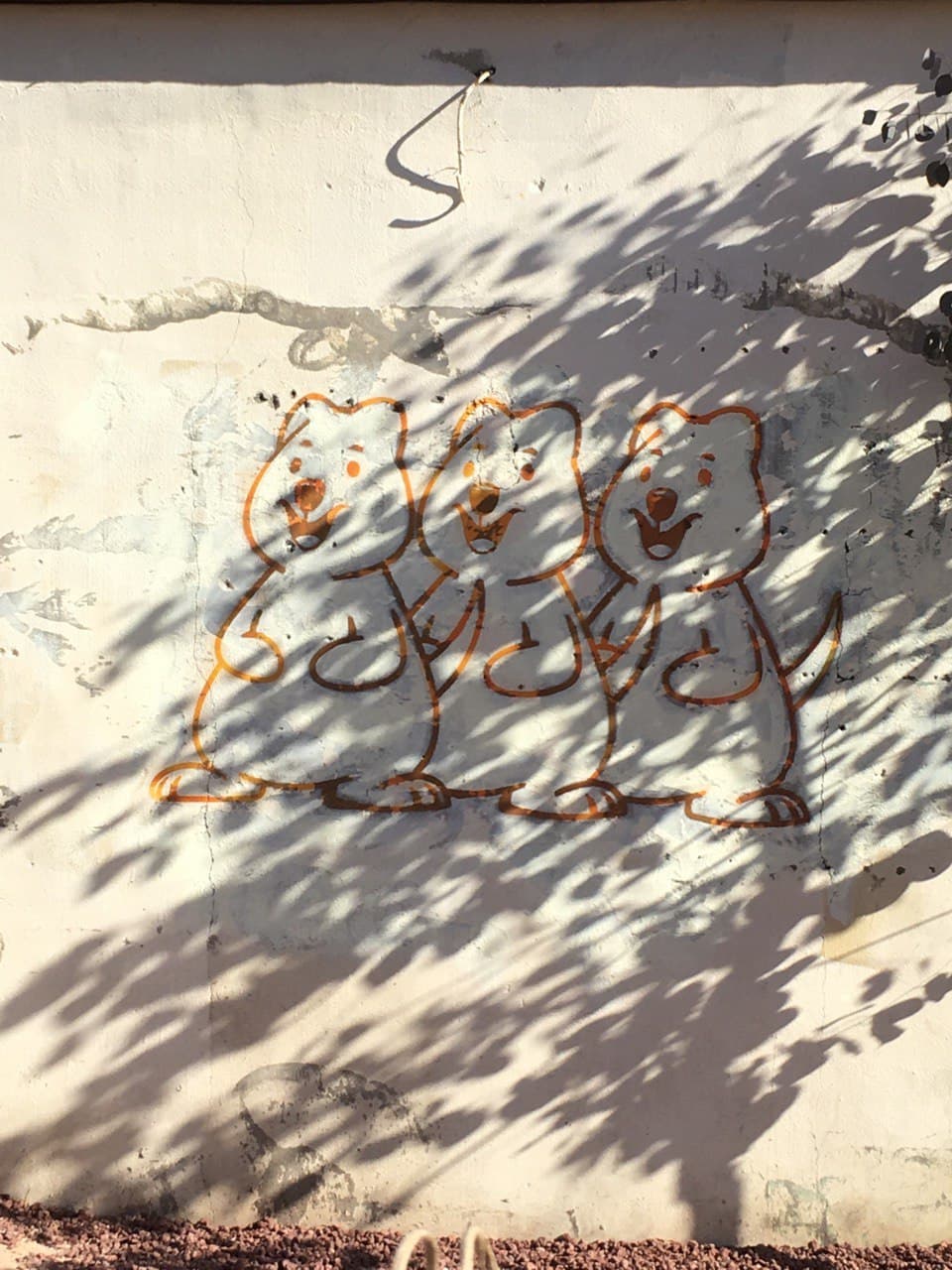  부산 사상 카페 쿼피집