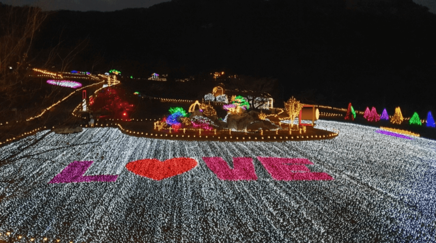 2024&amp;#39; 국내 겨울 축제&amp;#44; 크리스마스/해돋이 행사&amp;#44; 축제 주변 맛집