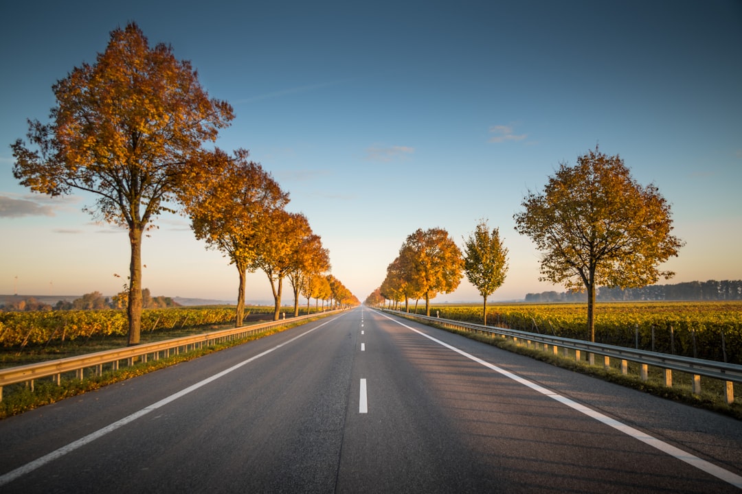 Highway.