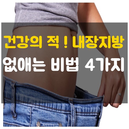  내장지방빼는법 4가지 건강의 적!