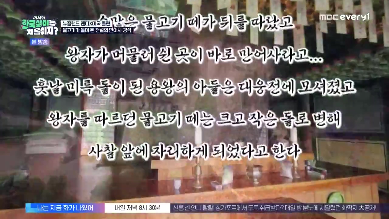 어서와 한국살이는 처음이지.E20.231003p-NEXT.mp4_20231004_200004.062.jpg
