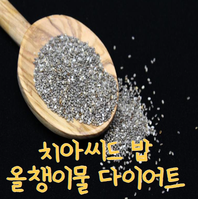 올챙이물 다이어트,치아씨드 밥 만들기