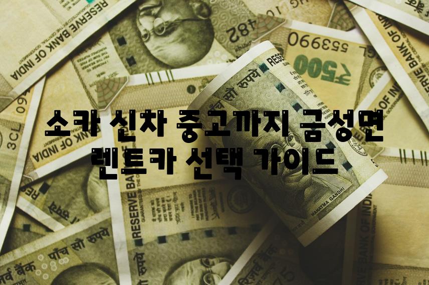 소카 신차 중고까지 금성면 렌트카 선택 안내