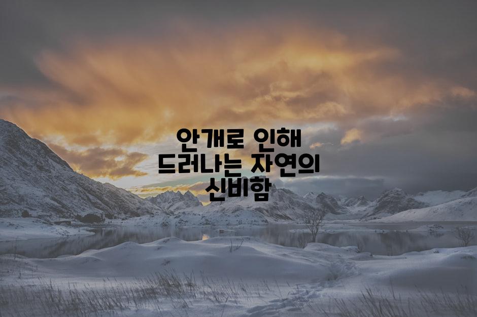 안개로 인해 드러나는 자연의 신비함
