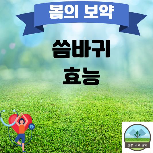  미세 먼지에 좋은 봄나물 씀바귀