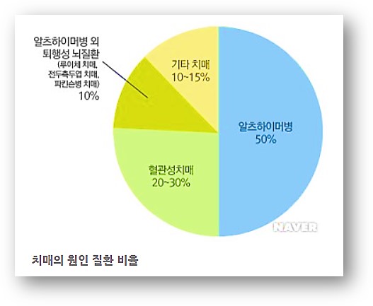 치매의 원인 질환 비율 f.네이버